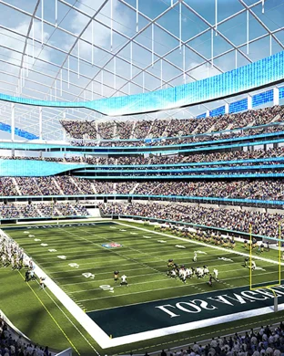 New England Patriots vs. Minnesota Vikings